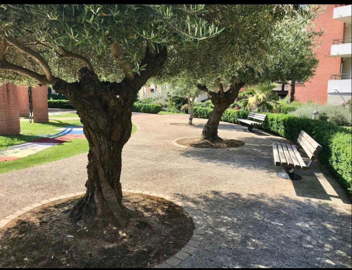 L Oasis Studio Proche Hopital Et Aeroport Piscine Parking &Netflix Tuluza Zewnętrze zdjęcie
